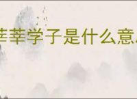 莘莘学子是什么意思?