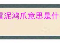 雪泥鸿爪意思是什么
