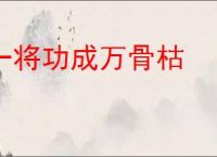 一将功成万骨枯