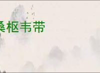 桑枢韦带