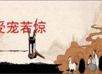 受宠若惊