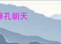 鼻孔朝天