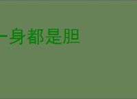 一身都是胆
