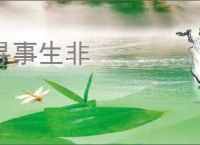 寻事生非