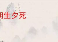 朝生夕死