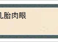 凡胎肉眼
