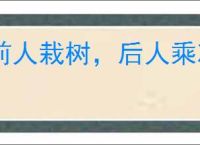前人栽树，后人乘凉