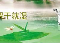 偎干就湿