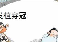 发植穿冠