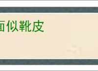面似靴皮