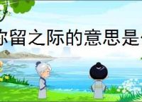 弥留之际的意思是什么