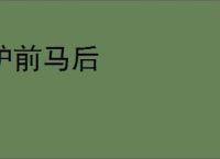 驴前马后