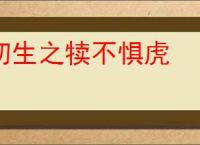 初生之犊不惧虎