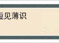短见薄识