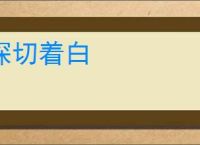 深切着白