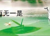 百无一是