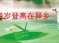 每岁登高在异乡