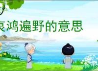 哀鸿遍野的意思