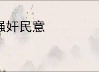 强奸民意