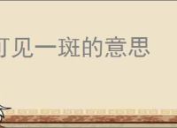 可见一斑的意思
