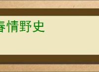 春情野史