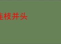 连枝并头