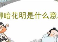 柳暗花明是什么意思