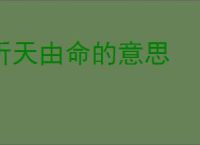 听天由命的意思