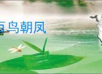 百鸟朝凤