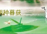 朝种暮获