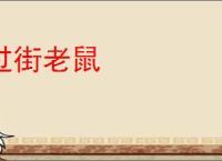 过街老鼠