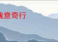 瑰意奇行