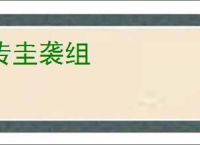 传圭袭组