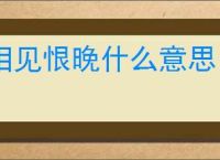 相见恨晚什么意思