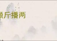 颠斤播两
