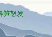 春笋怒发