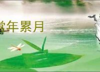 常年累月