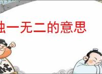 独一无二的意思