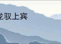 龙驭上宾