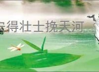 安得壮士挽天河