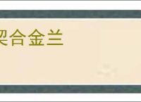 契合金兰