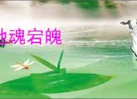 弛魂宕魄