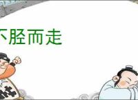 不胫而走
