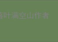 落叶满空山作者