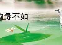 狗彘不如