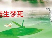 醉生梦死