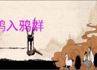 鹘入鸦群