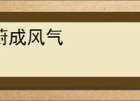 蔚成风气