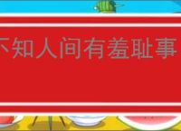 不知人间有羞耻事