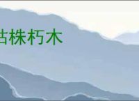 枯株朽木